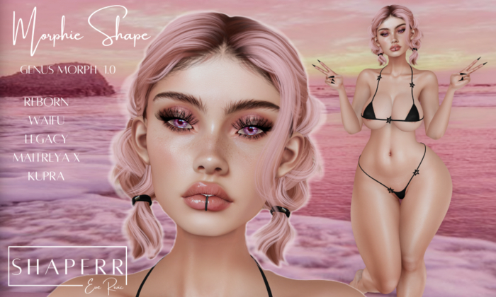 SHAPERR - Morphie Shape