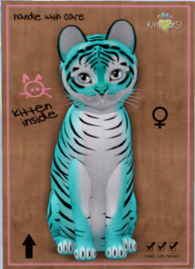 KittyCatS Box - Tiger! - Turquoise