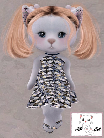 Drk Patchwork Dress Set