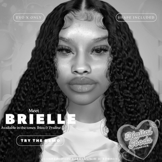 DG$-Brielle DEMO