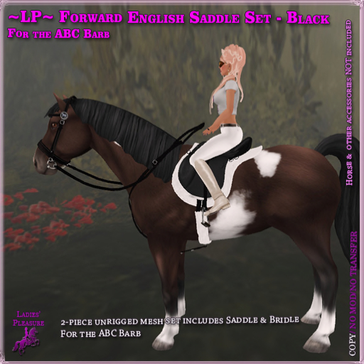 ~LP~ Forward English Tack Set (ABC  Barb ) BOXED Black