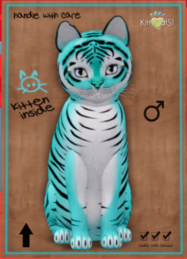KittyCatS Box - Tiger! - Turquoise - Petite