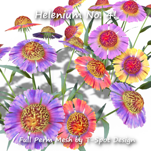 T-Spot Mesh - Helenium No. 4 - FP - LI=0.9
