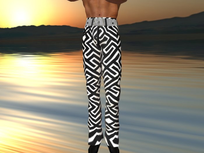 Belted Maze Pants