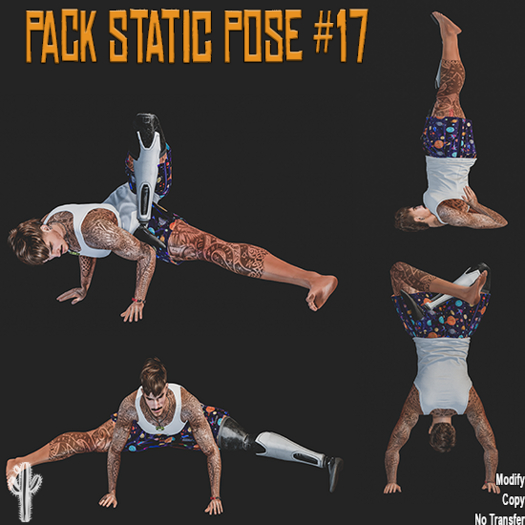 [OP] - Pack Static Pose #17