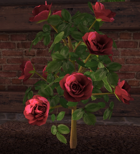 Foxtrot Green Garden Breedable Female Rose Seed: Red