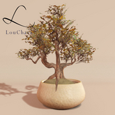 LouChara Thalion Planter