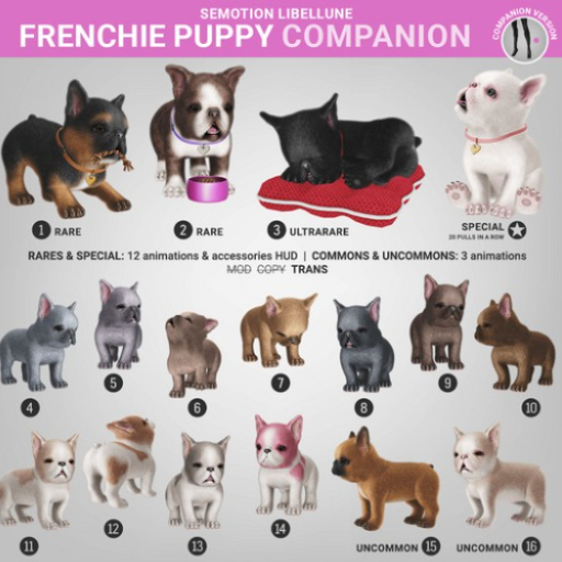 SEmotion Libellune Frenchie Puppy Companion COMMON 08