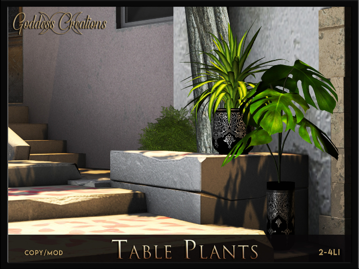)O( GC: Table Plants 