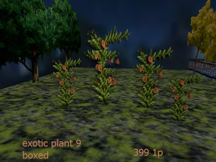 exotic plant 9 boxed