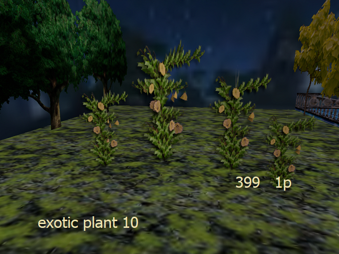 exotic plant 10 boxed