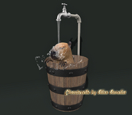 16. Mutresse-Chill Capybaras RARE