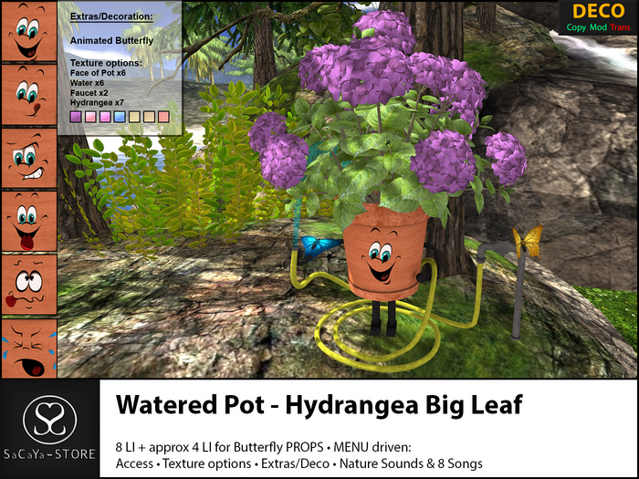 SaCaYa - Watered Pot - Hydrangea Big Leaf