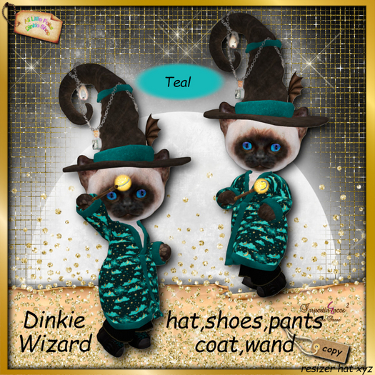 Dinkie * dinkie wizard costume Teal