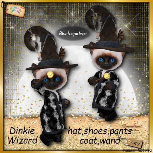 dinkie wizard costume BLACK SPIDERS