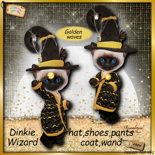 dinkie wizard costume golden waves