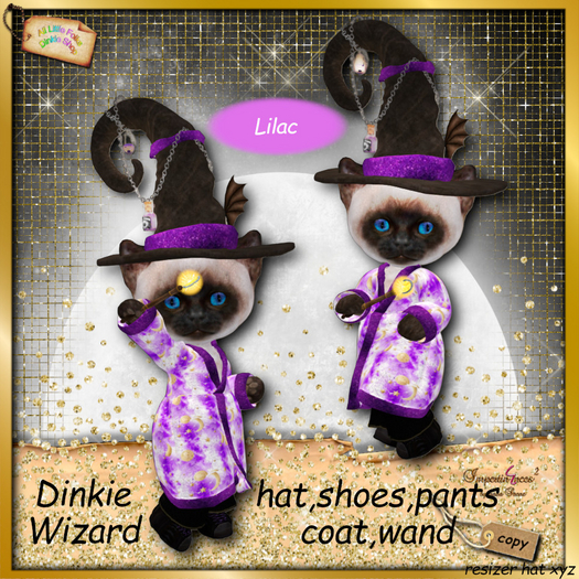 dinkie wizard costume lilac
