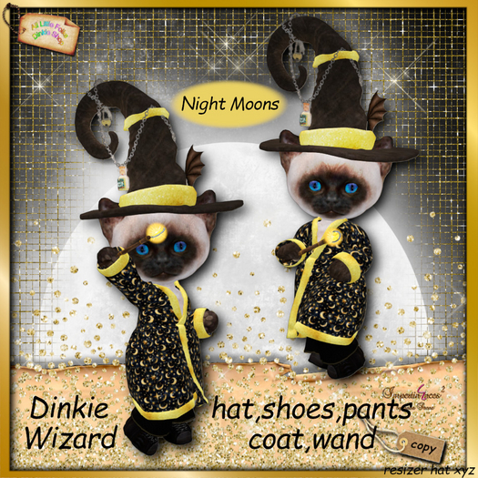 dinkie wizard costume night moons