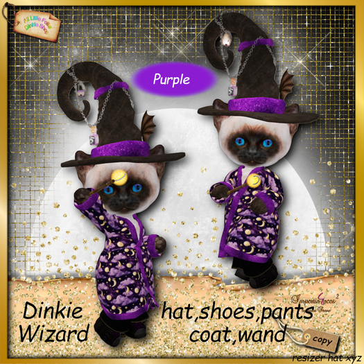 dinkie wizard costume purple