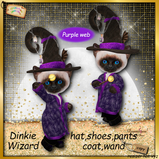 dinkie wizard costume purple web