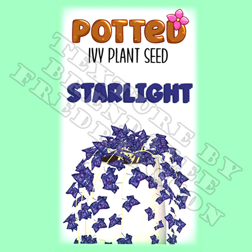 Potted: Ivy Plant Seed: Starlight (ACTUAL PLANT SEED)