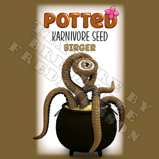 Potted: Karnivore Plant Seed: Birger (ACTUAL PLANT SEED)