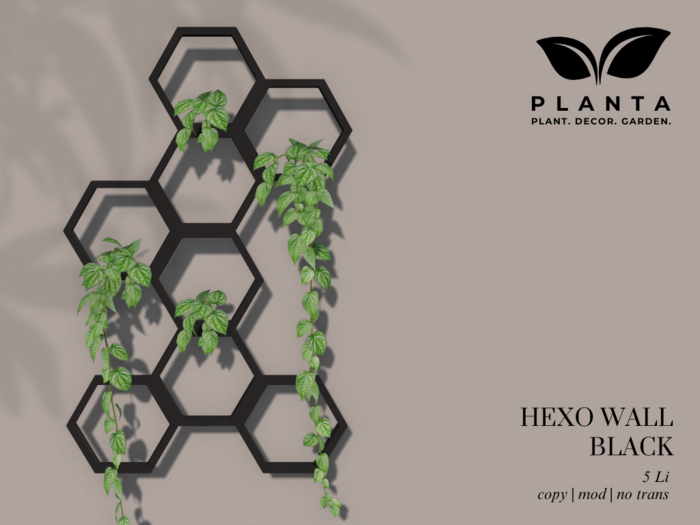 Planta - Hexo Wall Black