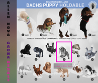 8. SEmotion Libellune Dachs Puppy Holdable - SALE !