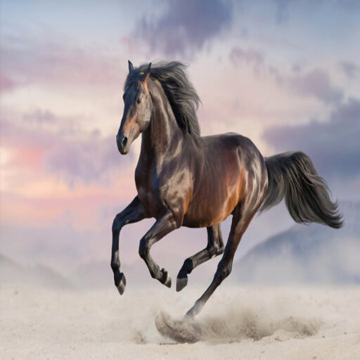 horse