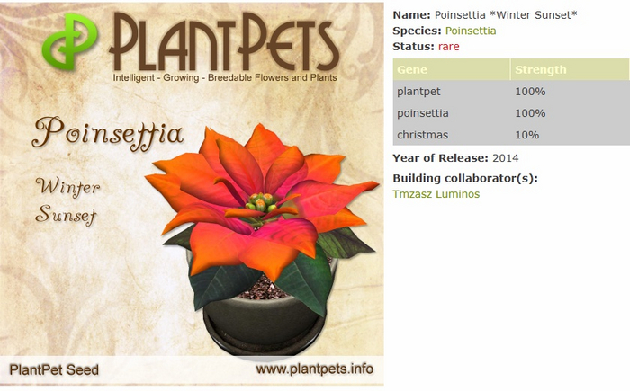 PlantPet Seed [Poinsettia *Winter Sunset*]