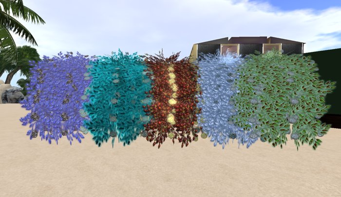 WW- Elemental Archway