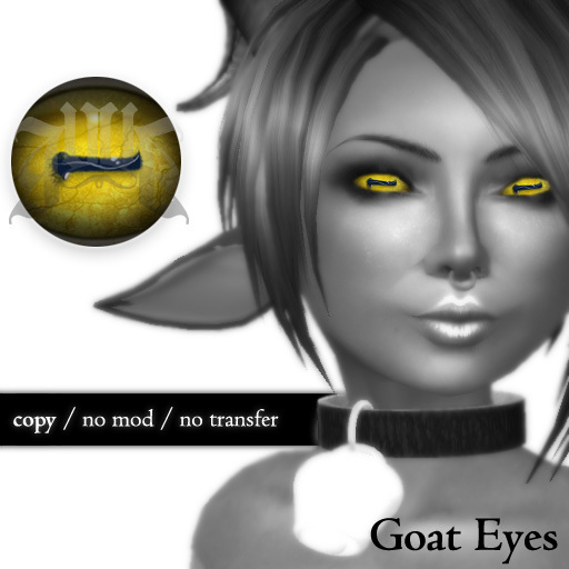 /ISHY/ Goat Eyes Gold