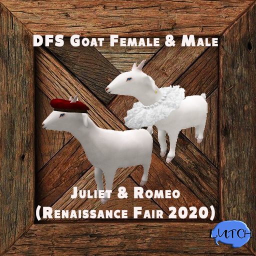 DFS Goat Female&Male - Juliet ,Romeo (Renaissance Fair 2020)