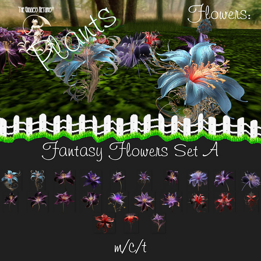 TGR - Plants - Flowers - Fantasy Flowers Set A boxed