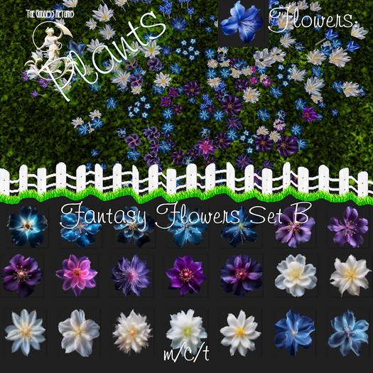 TGR - Plants - Flowers - Fantasy Flowers Set B boxed
