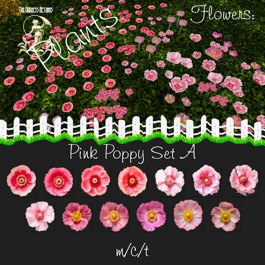 TGR - Plants - Flowers - Pink Poppy Set A boxed
