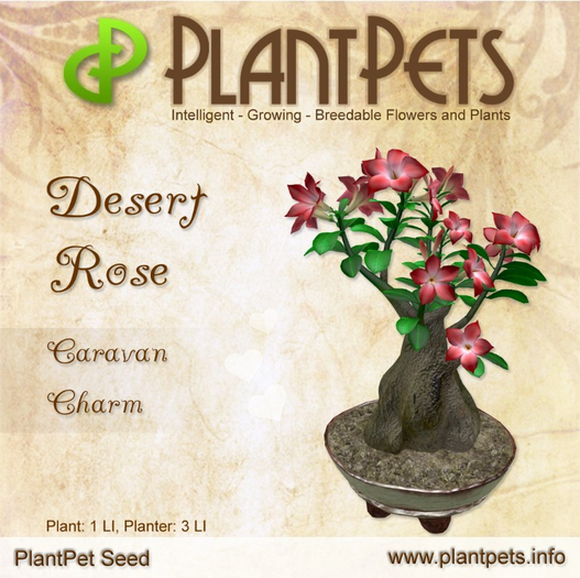 PlantPet Seed [Desert Rose *Caravan Charm*]
