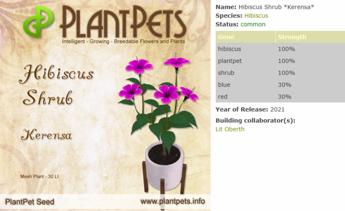 PlantPet Seed [Hibiscus Shrub *Kerensa*]