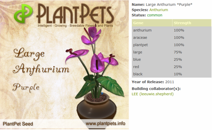 PlantPet Seed [Large Anthurium *Purple*]