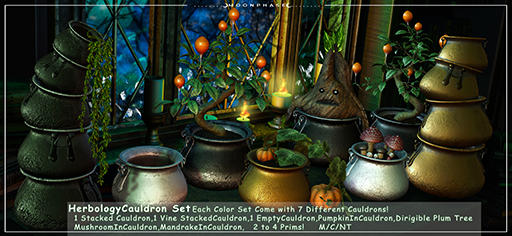 {.Moon.Phase.} Herbology Cauldron Set_Silver