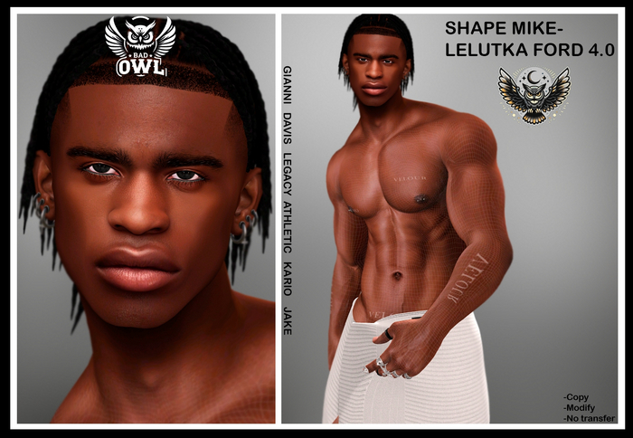 SHAPE MIKE-LELUTKA FORD 4.0