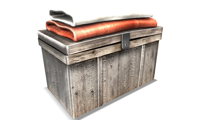 ionic : Winter clothes trunk (B)