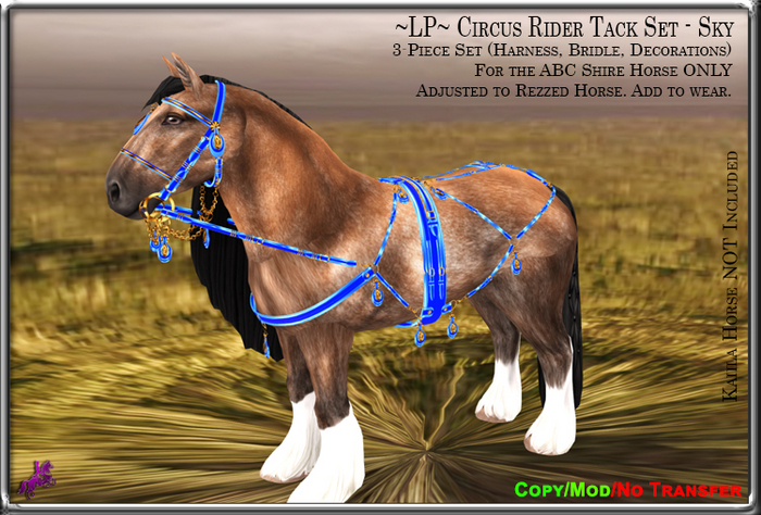 ~LP~ Circus Rider Tack Set (BOXED) ABC Shire Sky