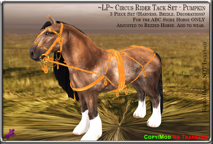 ~LP~ Circus Rider Tack Set (BOXED) ABC Shire Pumpkin
