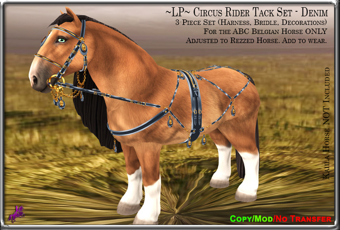 ~LP~ Circus Rider Tack Set (BOXED) ABC Belgian Denim