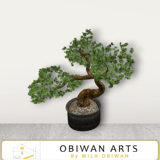 Flora Bonsai
