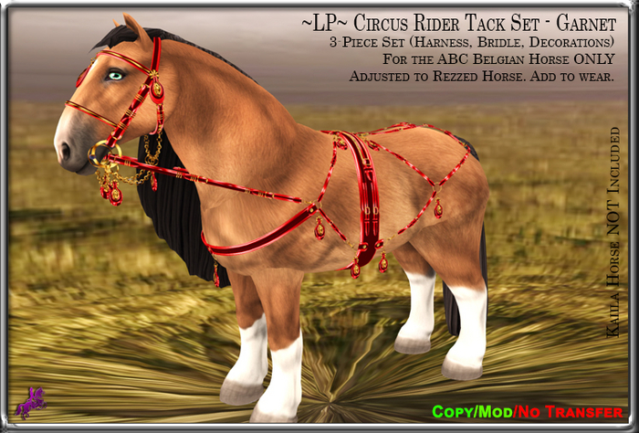 ~LP~ Circus Rider Tack Set (BOXED) ABC Belgian Garnet