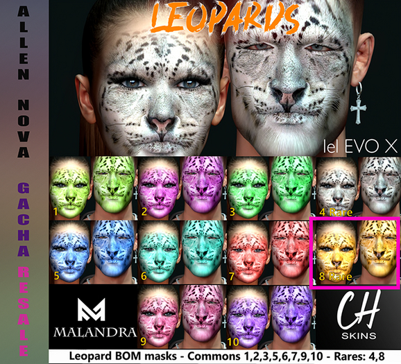 08 - Leopard tattoo ORANGE RARE - (Malandra/Ch Skins) SALE !