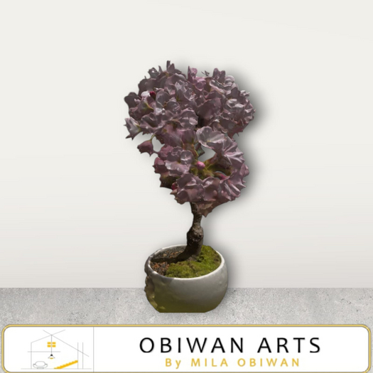 Sakura Bonsai