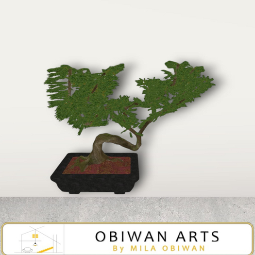 Lanai Bonsai